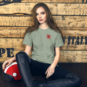 Artificial Perdition devil mascot, red illustrated devil mid-stride with trident and brand name, hand-drawn style on black, official logo tee