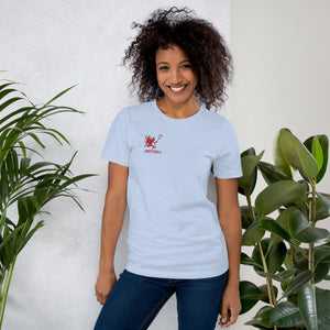 Artificial Perdition devil mascot, red illustrated devil mid-stride with trident and brand name, hand-drawn style on black, official logo tee