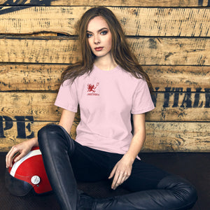 Artificial Perdition devil mascot, red illustrated devil mid-stride with trident and brand name, hand-drawn style on black, official logo tee