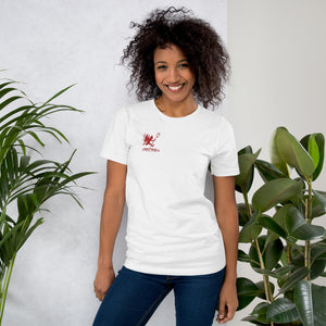 Artificial Perdition devil mascot, red illustrated devil mid-stride with trident and brand name, hand-drawn style on black, official logo tee